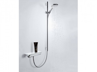 Hansgrohe 13161
